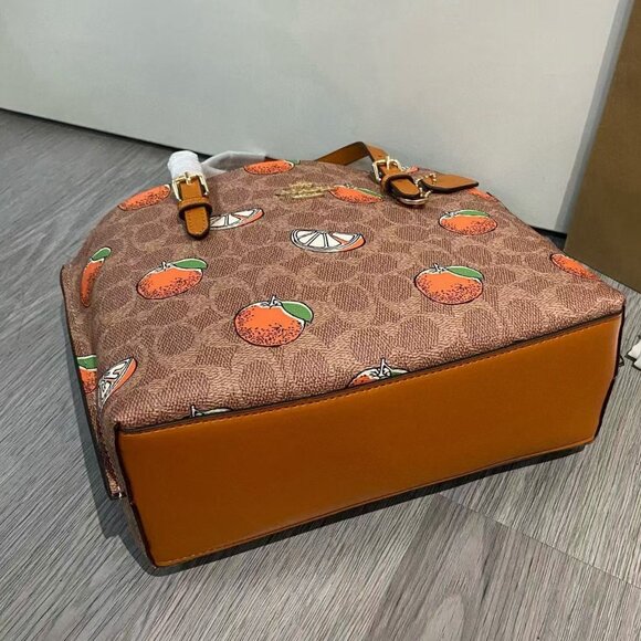 COACH Teri  Bag, Size 25cm - Picture 7 of 9